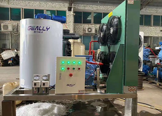 Case of a 3 ton flake ice machine in a chemical plant in Guangxi